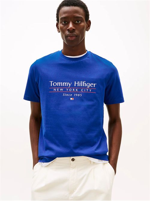 t-shirt man blue TOMMY HILFIGER | MW0MW38621D03